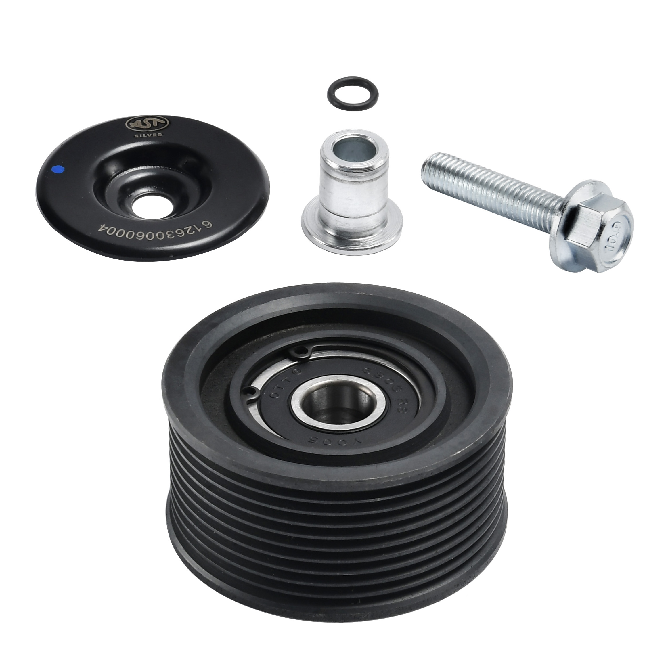 Ролик обводной WP12 E3 10PK (AST1366/612630060004) AST Silver