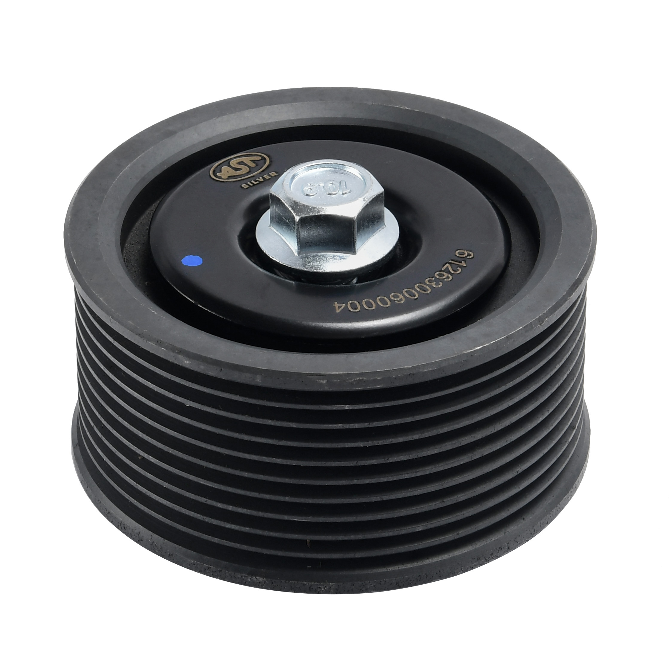 Ролик обводной WP12 E3 10PK (AST1366/612630060004) AST Silver