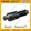LEO300033A