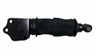 LEO300109A
