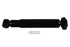 LEO300038A