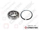 CK8177A
