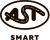 AST Smart
