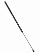 810W611400016