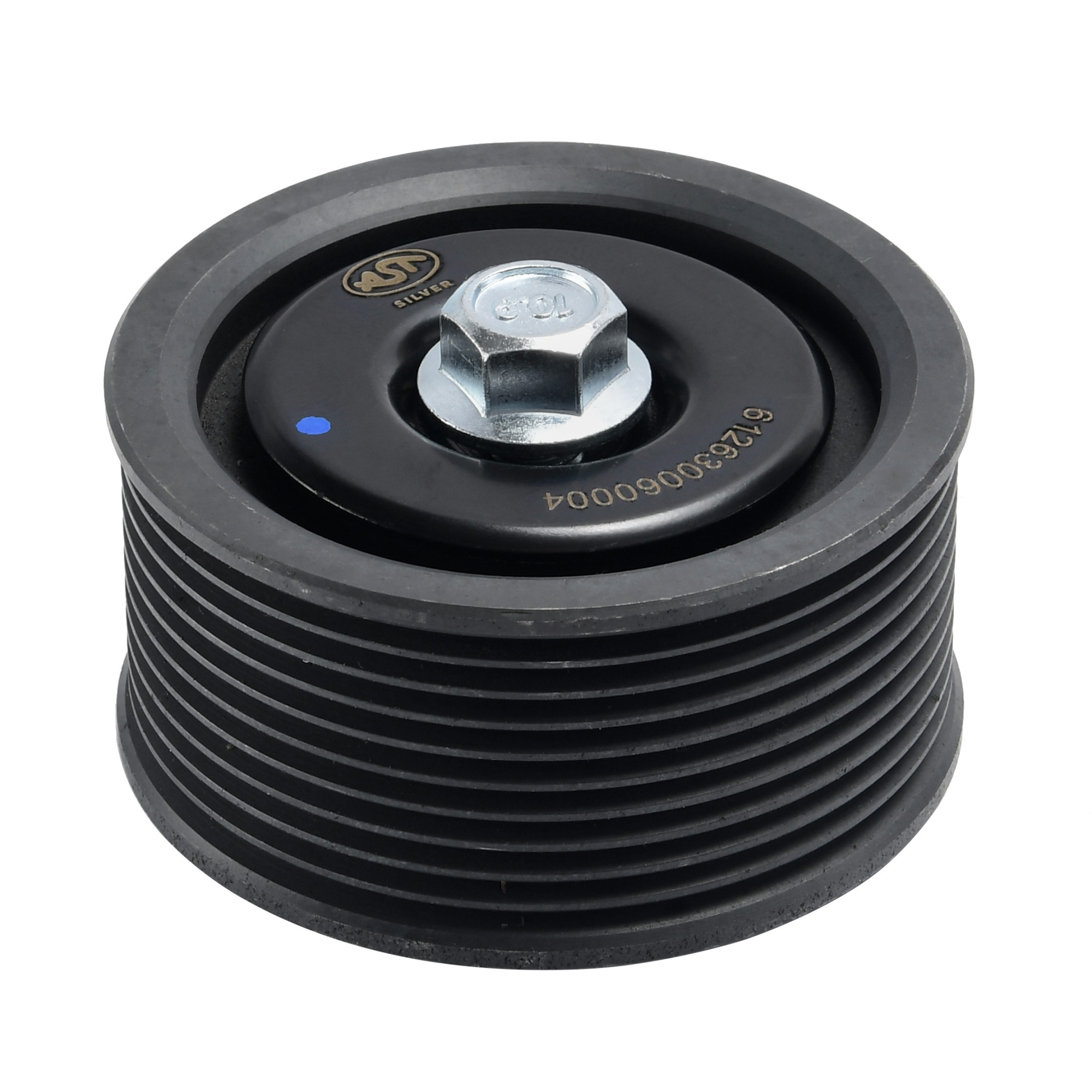 Ролик обводной WP12 E3 10PK (AST1366/612630060004) AST Silver